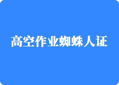 啊啊湿湿嗯高空作业蜘蛛人证